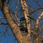 Fotokapan Kamera: Doğada Gizlenen Hayatın İzinde