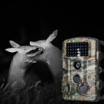 fotokapanlarda gece görüşü