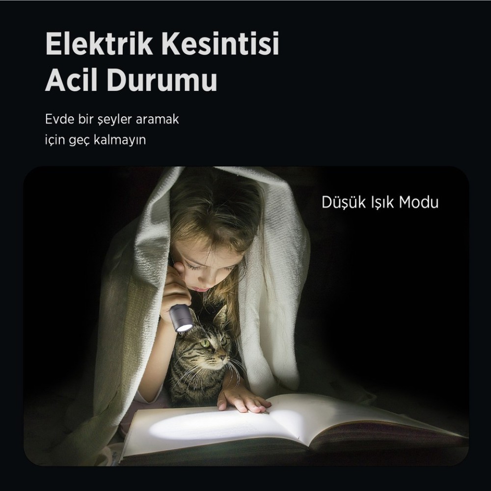 LED El Feneri